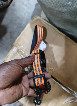 Leash Collar Orange