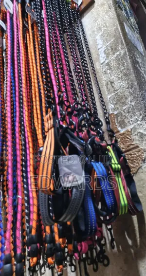 Leash Collar Orange