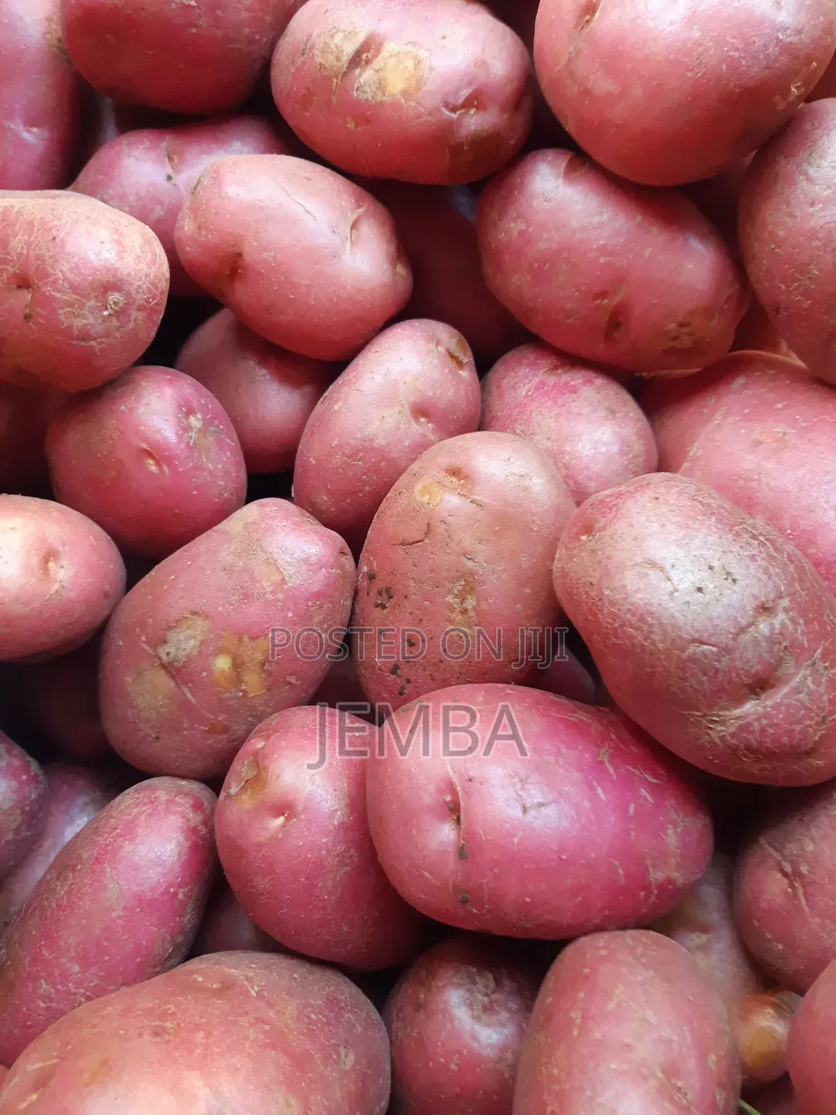 Alika / Irish Potatoes