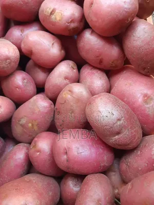 Alika / Irish Potatoes