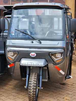 New Tricycle Ihemas 2025 Gray