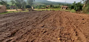 New Title Plots for Sale in Bujjuko