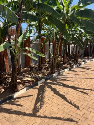 15 Decimals of Land With a Mansion Flat House in Ntinda