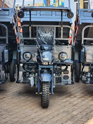 New Tricycle 2025 Gray