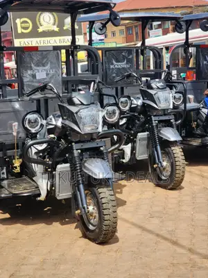 New Tricycle 2025 Gray