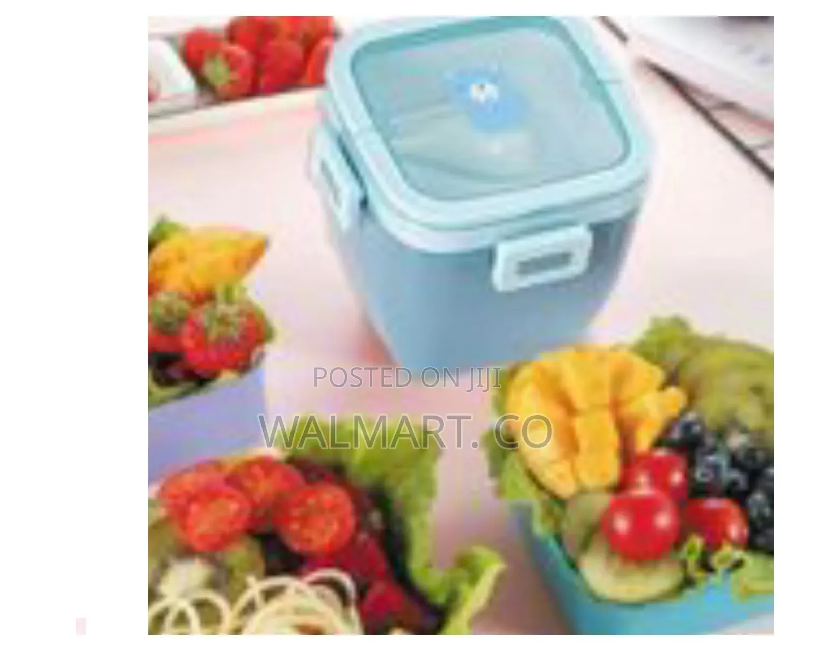 Portable Microwaveable Plastic Double Layer Bento Lunch Box