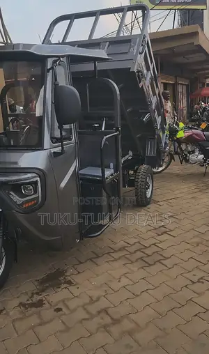 New Tricycle 2025 Gray