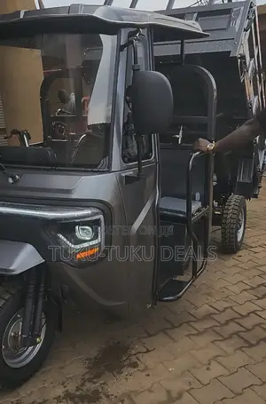 New Tricycle 2025 Gray