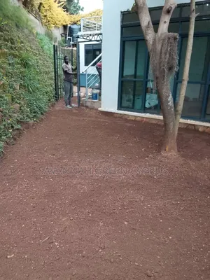 Compound Leveling and Grass Planting