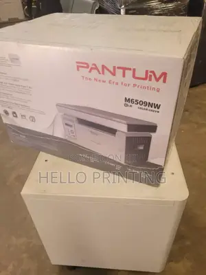 Pantum M6509nw Heavy Duty Home Printer