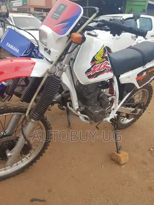 Honda 2018 White