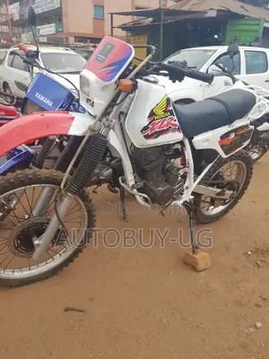 Honda 2018 White