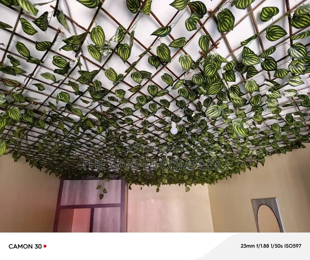 Ceiling Plants Each