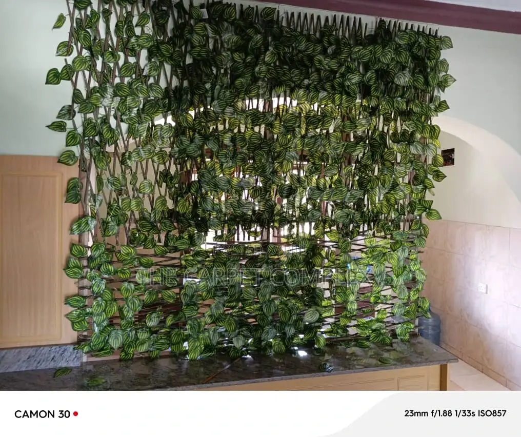 Green Wall Plants Each