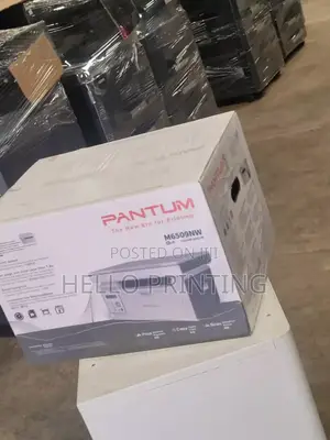 Pantum M6509nw Perfectly Working Printer