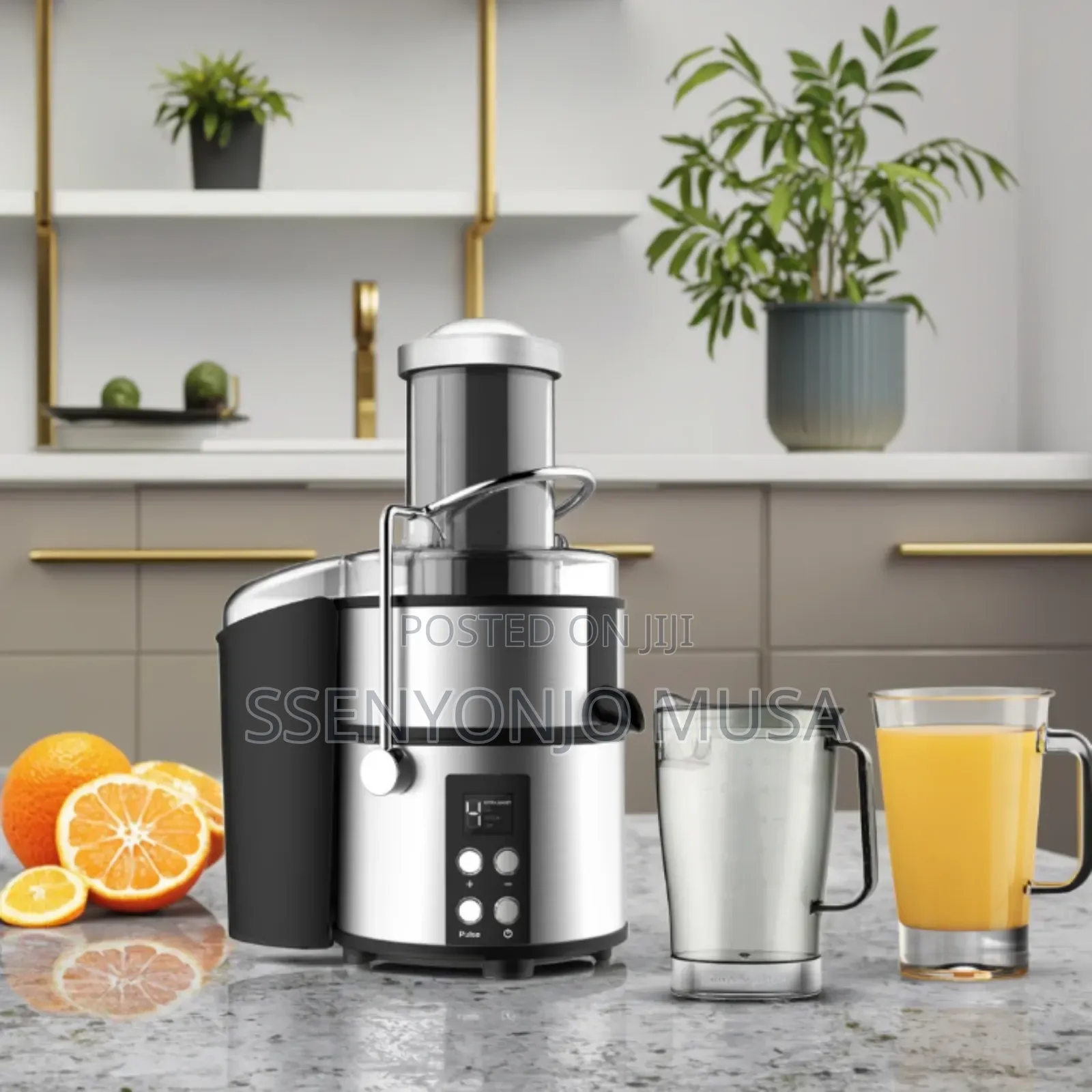 Avinas 4-in-1 Juicer Blender | 1800w Multi-Functional