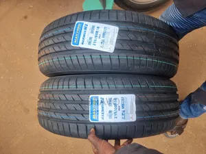 215/60r16 Maxtrek Tyres for Ist, Mark X.