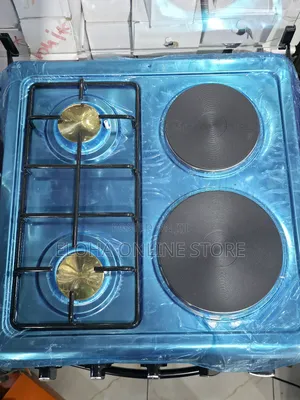 Winning Star Electric Cooker With Gas Burners