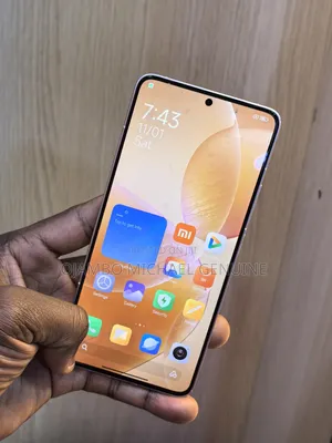 Xiaomi Redmi K70 256 GB Silver