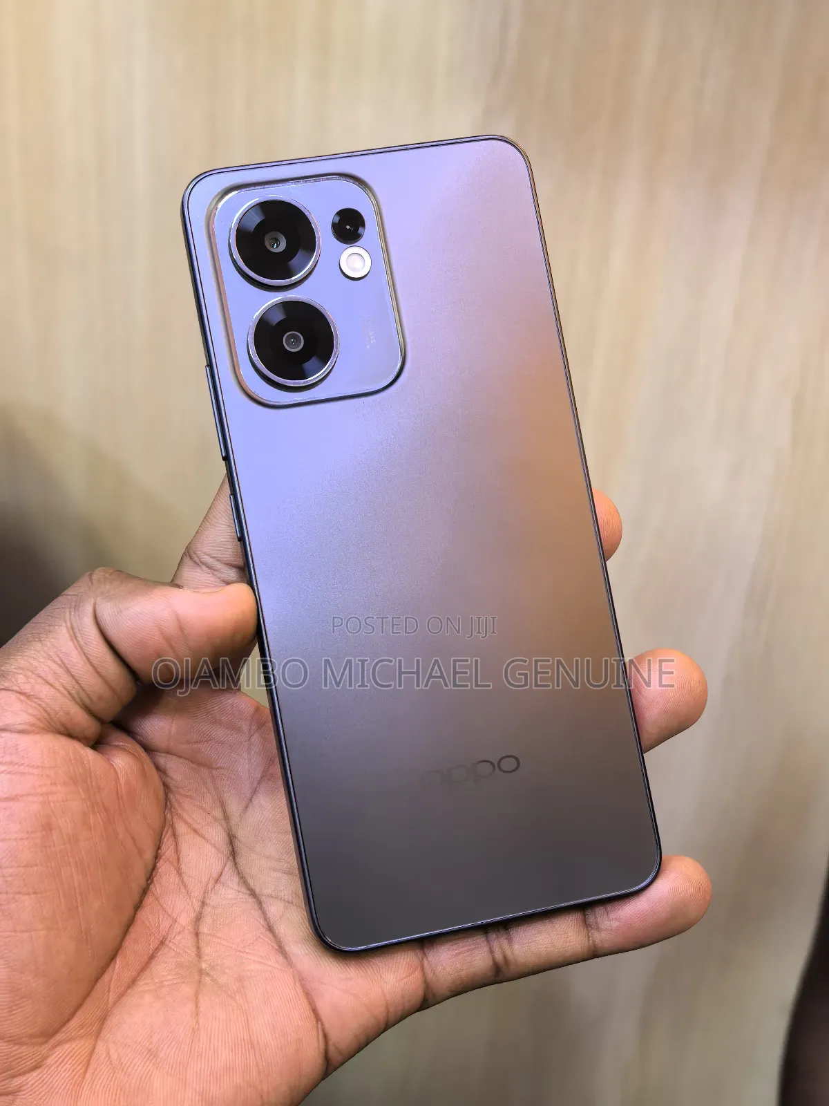 Oppo Reno13 F 256 GB Gray
