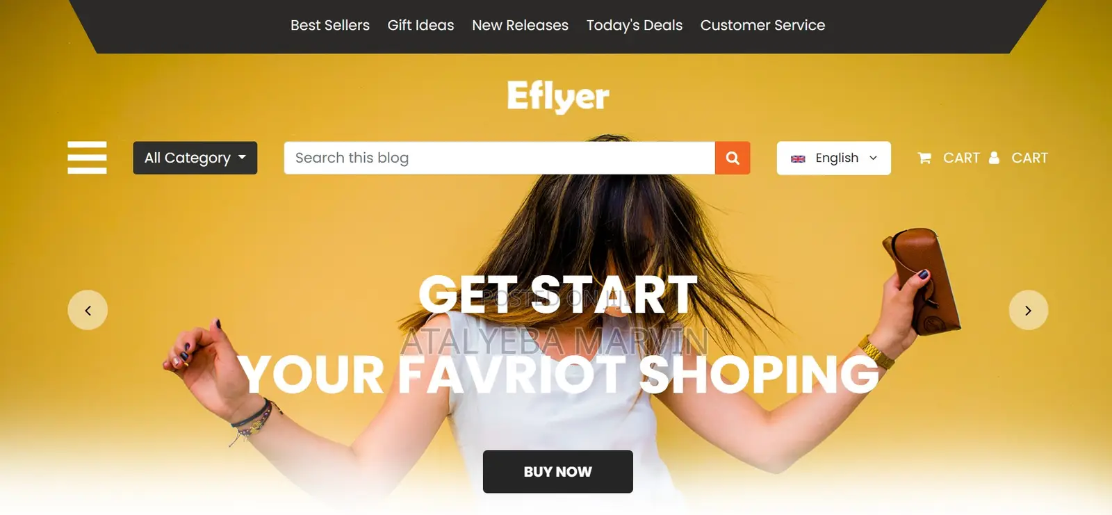 Website Design and Developement