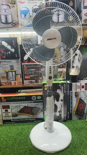 Mewe Stand Fan With Timer