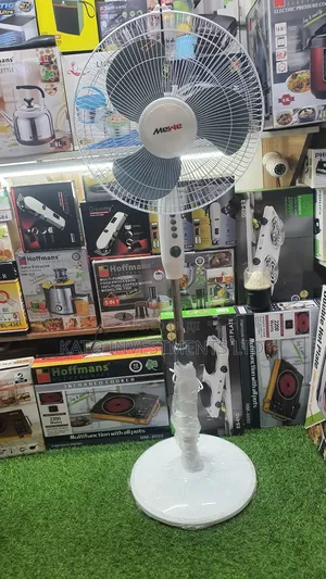 Mewe Stand Fan With Timer