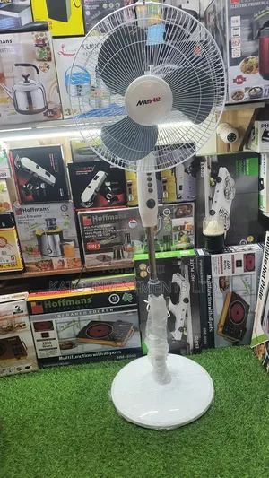 Mewe Stand Fan With Timer