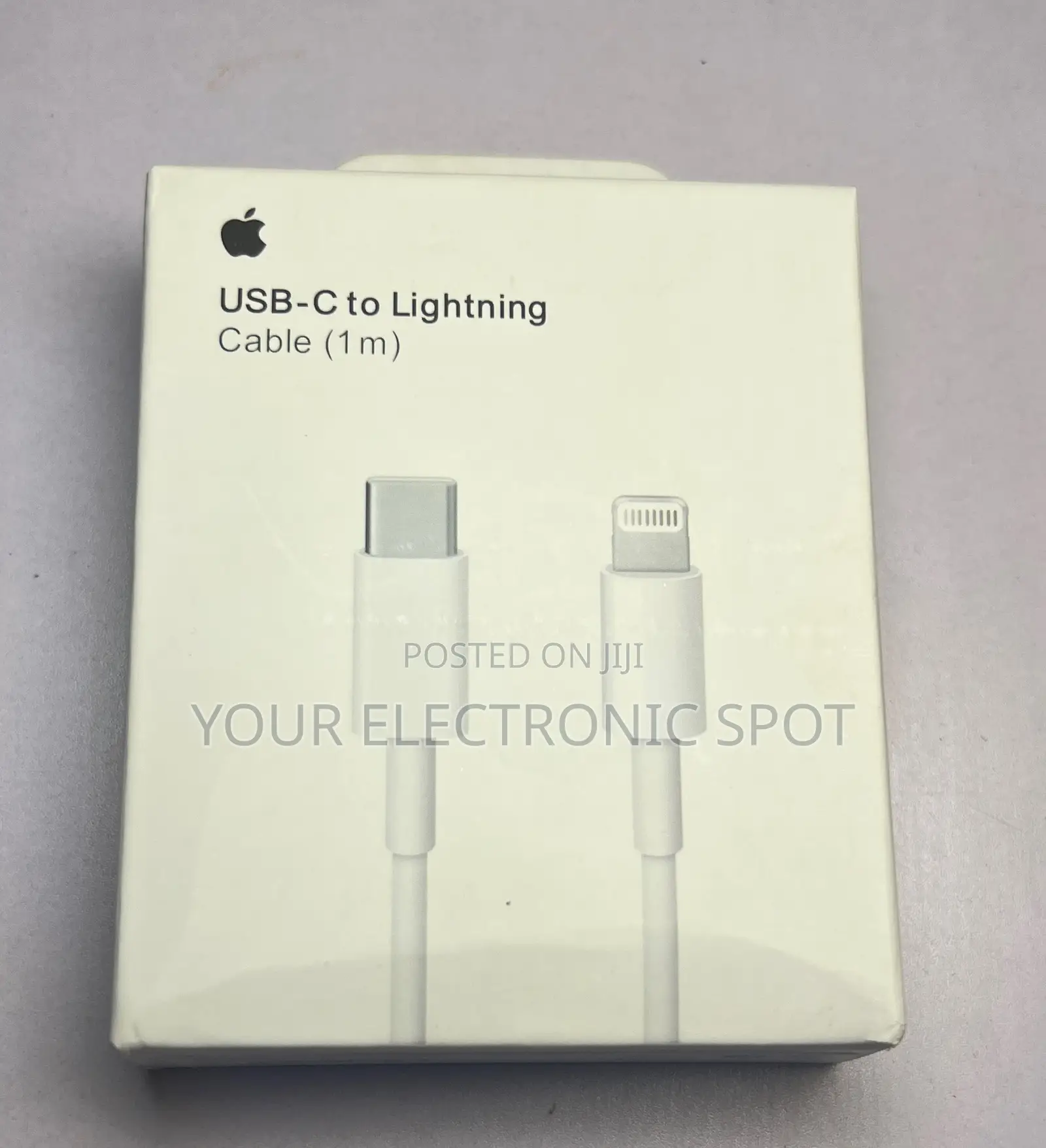 iPhone Original Charger