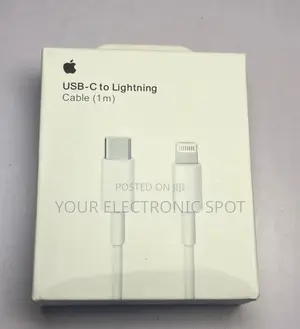 iPhone Original Charger
