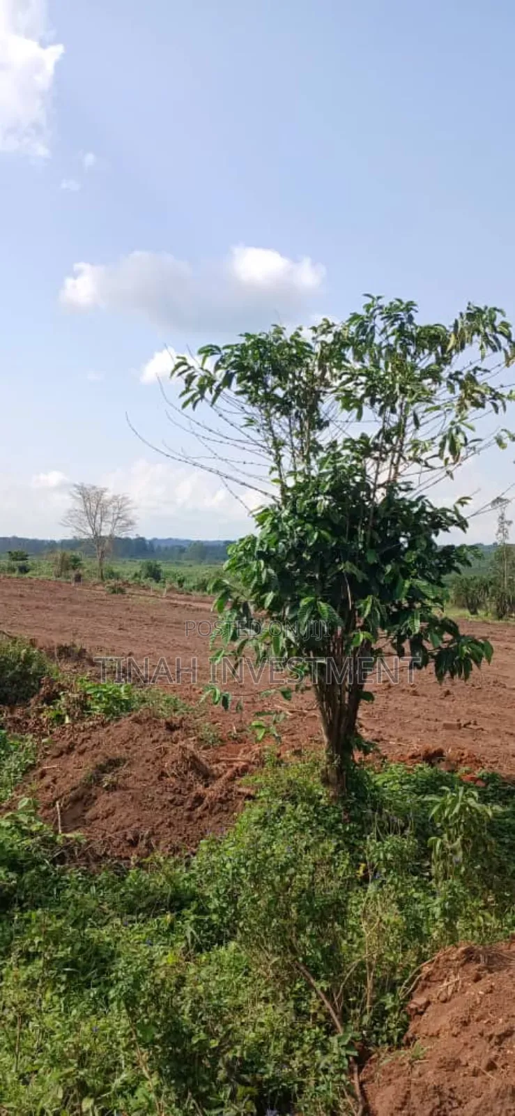 Gayaza Kiwenda Estate