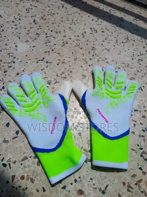 Adidas Predator Pro Goalkeeper Gloves