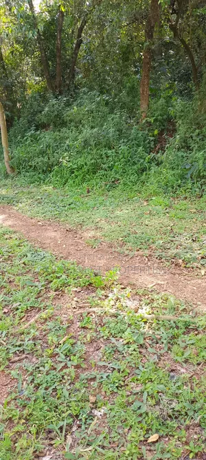 One Square Milo Land for Sale in Nakaseke Ngoma 13m Each Acre