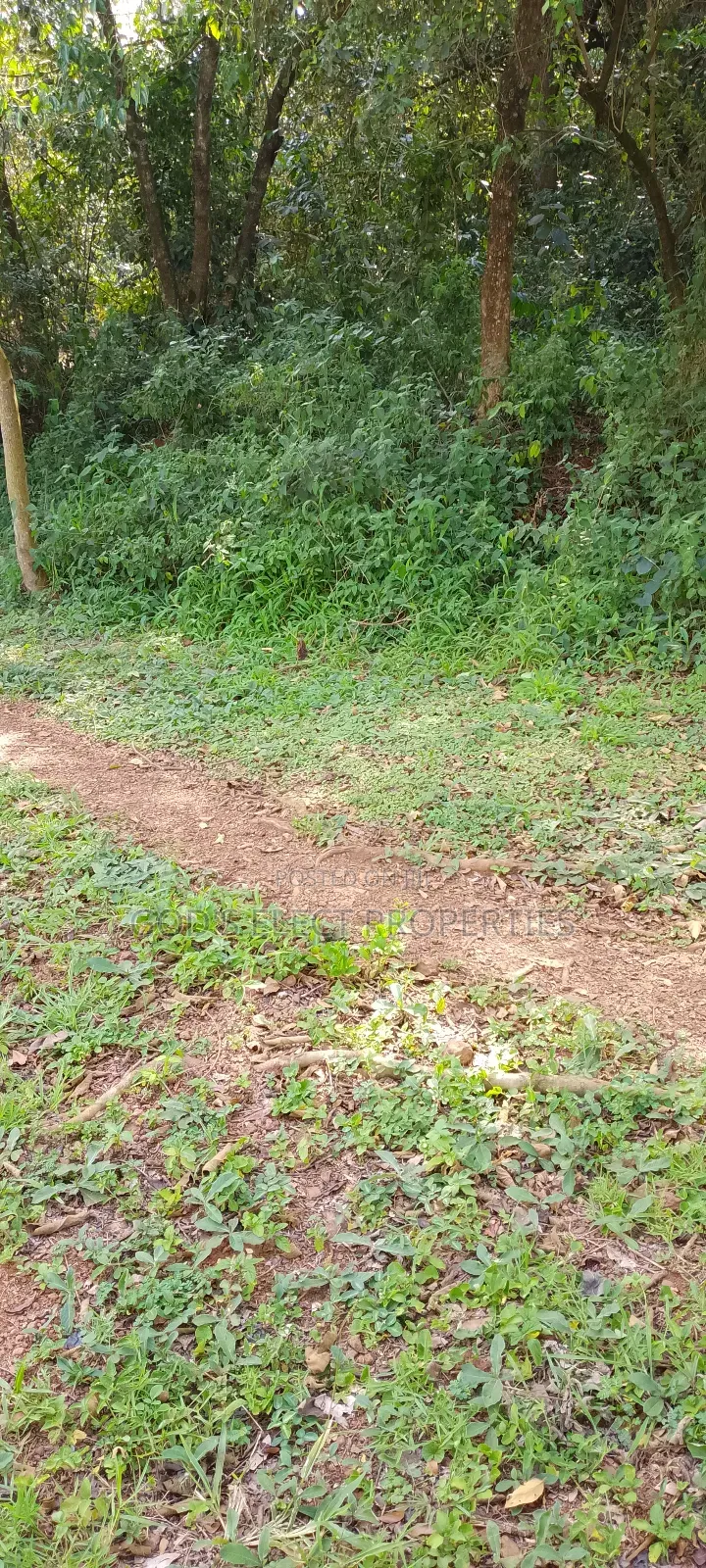 One Square Milo Land for Sale in Nakaseke Ngoma 13m Each Acre