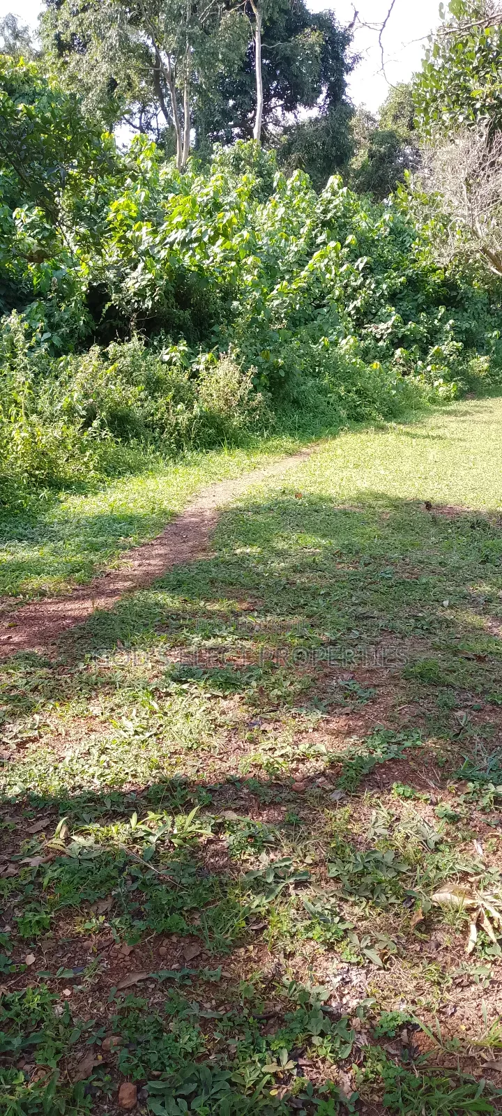 One Square Milo Land for Sale in Nakaseke Ngoma 13m Each Acre