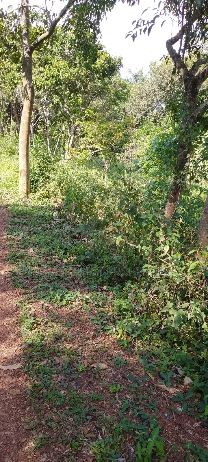 One Square Milo Land for Sale in Nakaseke Ngoma 13m Each Acre