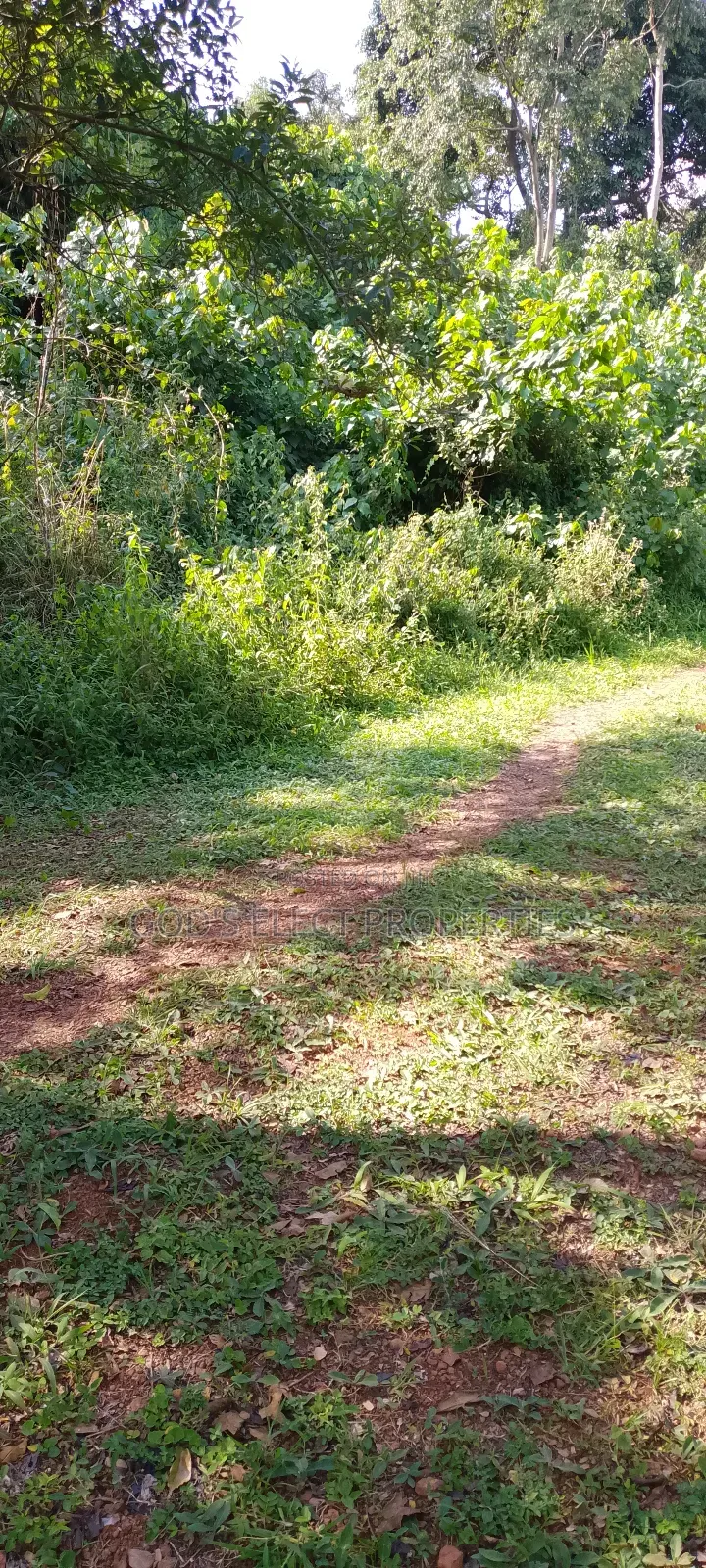 One Square Milo Land for Sale in Nakaseke Ngoma 13m Each Acre