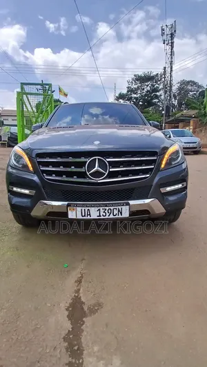 Mercedes-Benz M Class 2013 Gray