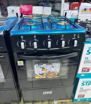 Winning Star 4-Burner Gas Stove With an Oven