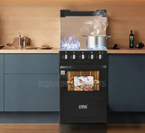 Winning Star 4-Burner Gas Stove With an Oven