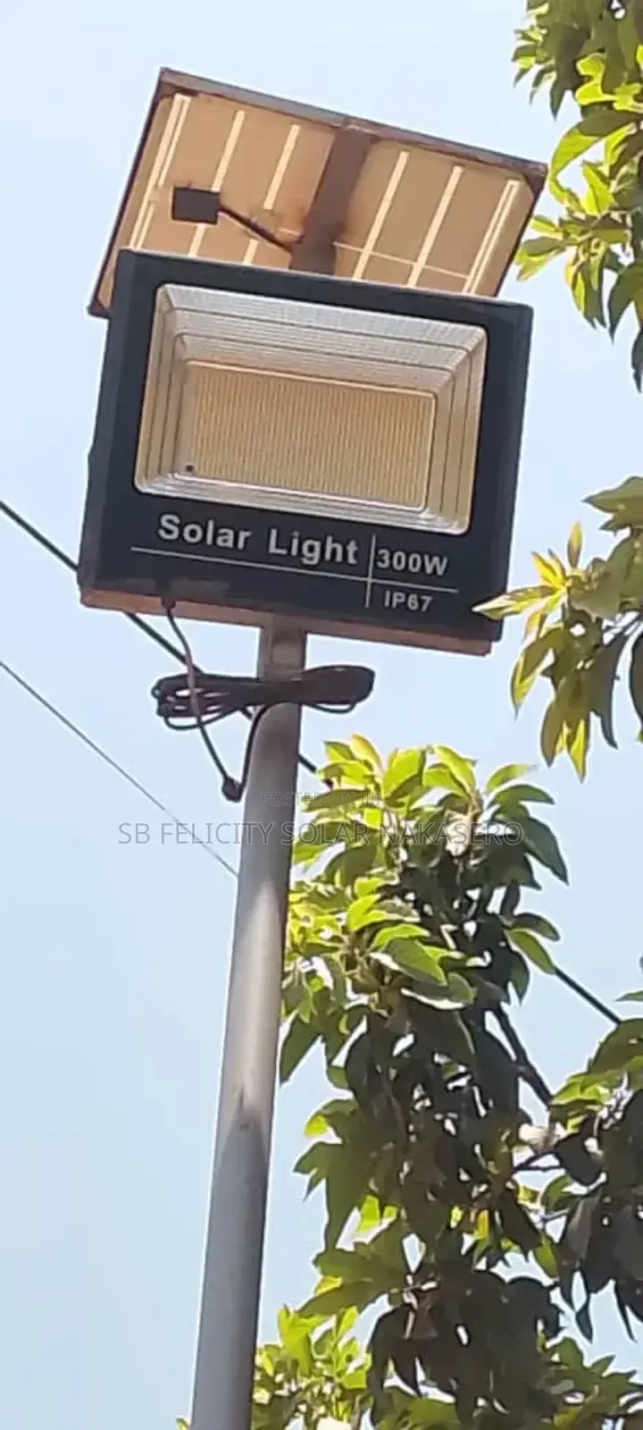 Solar Street Light