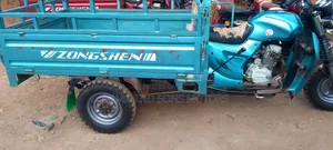 Tricycle 2024 Blue