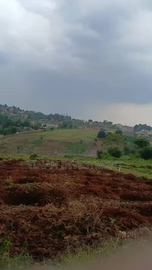Titled 50ftx100ft Plot In Busunju