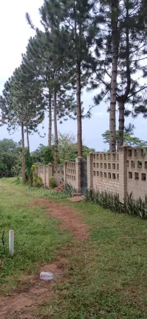 Titled 50ftx100ft Plot In Busunju