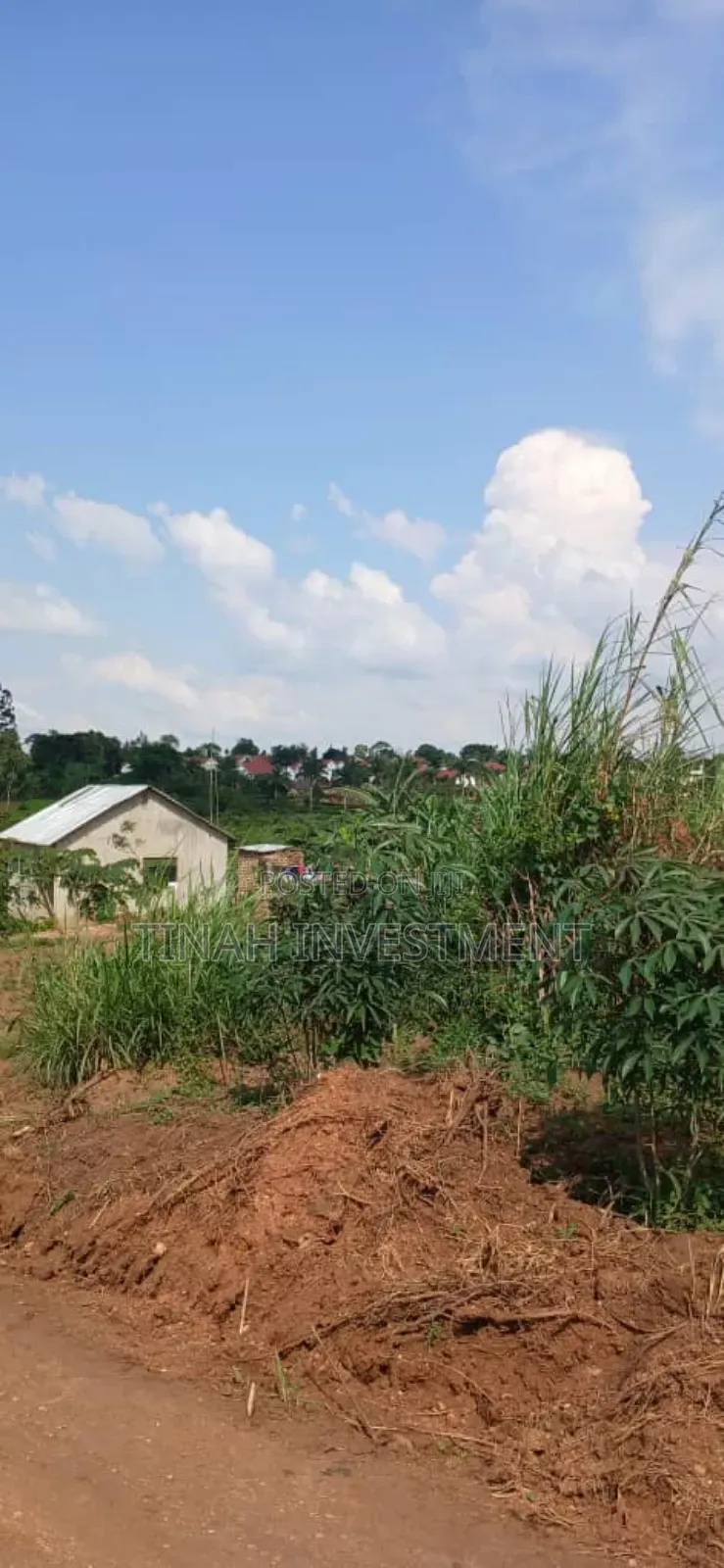 Titled 50ftx100ft Plot In Busunju