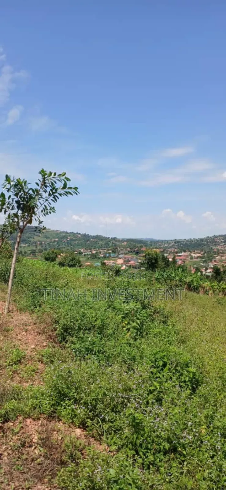 Titled 50ftx100ft Plot In Busunju