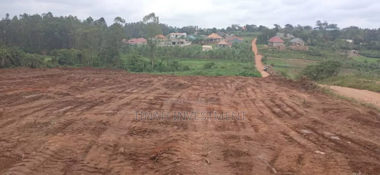 Titled 50ftx100ft Plot In Busunju