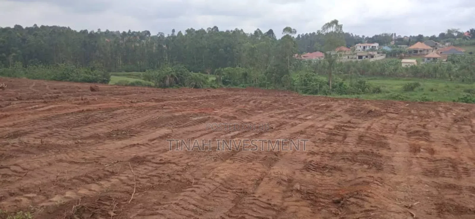 Titled 50ftx100ft Plot In Busunju