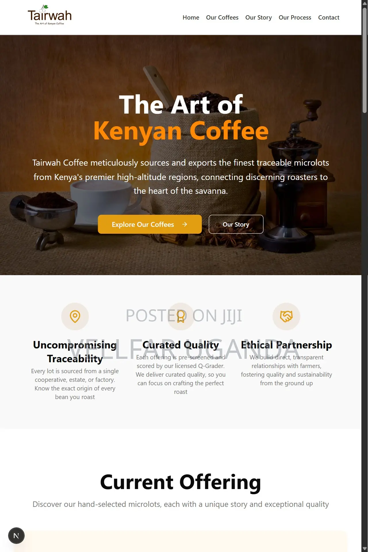 1 Page Website Design and Free Hosting (Free Domain)