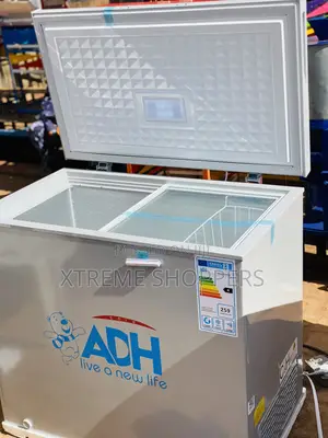 Electric Freezer /Commercial /Business Freezer/ 250liters